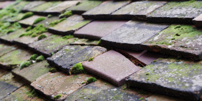Alsager roof repair costs